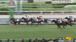 【土曜小倉4R】空馬１位入線！