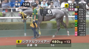 さてシグナルファイアー