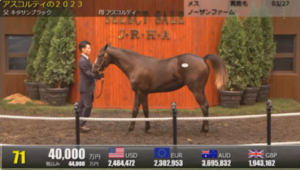 【セレクトセール2024】アスコルティの2023(父キタサンブラック)4億円で落札 他