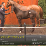 【セレクトセール2024】デロングスターの2024(父マカヒキ)1億5000万円で金子真人HDが落札