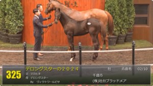 【セレクトセール2024】デロングスターの2024(父マカヒキ)1億5000万円で金子真人HDが落札
