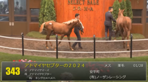 【セレクトセール2024】アドマイヤセプターの2024(父アドマイヤマーズ)1億2000万円で落札 他