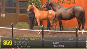 【セレクトセール2024】セリエンホルデの2024(父キタサンブラック)4億1000万円で落札 他