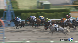 【マリーンS】 ナチュラルハイ＆永野猛蔵騎手がｷﾀ━━━━(ﾟ∀ﾟ)━━━━!!