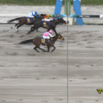 クラウンプライドは種牡馬になれるのか