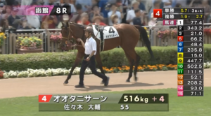 【日曜函館8R】オオタニサーン出てるんかw