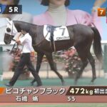 【福島5R新馬戦】ピコチャンブラック&石橋脩騎手がキタ━━━━(゚∀゚)━━━━!!
