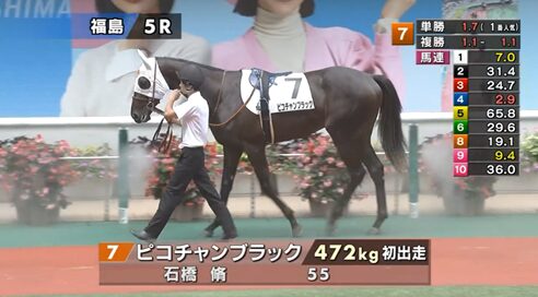 【福島5R新馬戦】ピコチャンブラック＆石橋脩騎手がｷﾀ━━━━(ﾟ∀ﾟ)━━━━!!