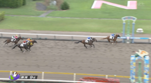 【日曜新潟9R】この時間に未勝利とか不思議な気分だ