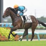 猫に名前をつけたいんだが競馬ファンがニヤッとする良い名前を募集中