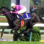○冠馬って三冠馬しか名乗ってはいけないの?