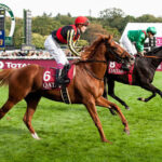 ロードカナロア産駒エクスタティックがアイルランドの2歳戦を快勝