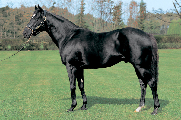 なんなの？3歳春まで強くて底を見せずに引退した馬に最強幻想を抱くのって馬鹿馬鹿しいよ