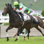 サートゥルナーリア種牡馬やっぱり成功