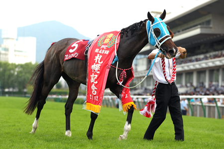 札幌記念９頭立ての模様