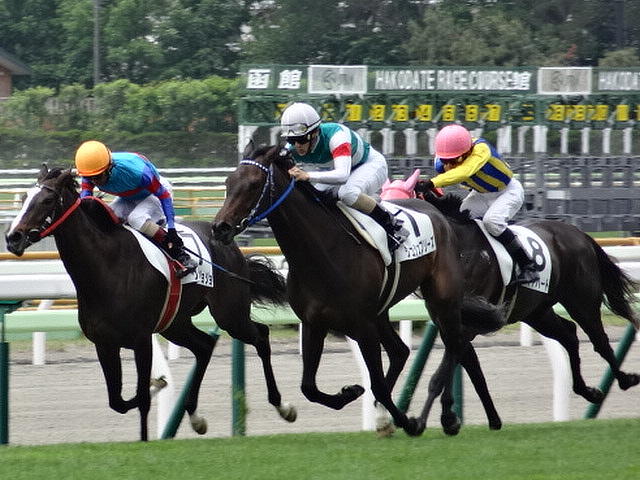 新馬戦がピークだった馬