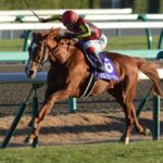 最強馬論争でイクイやディープは嫌われたのにオルフェはみんな好きだったのってなんでなの?
