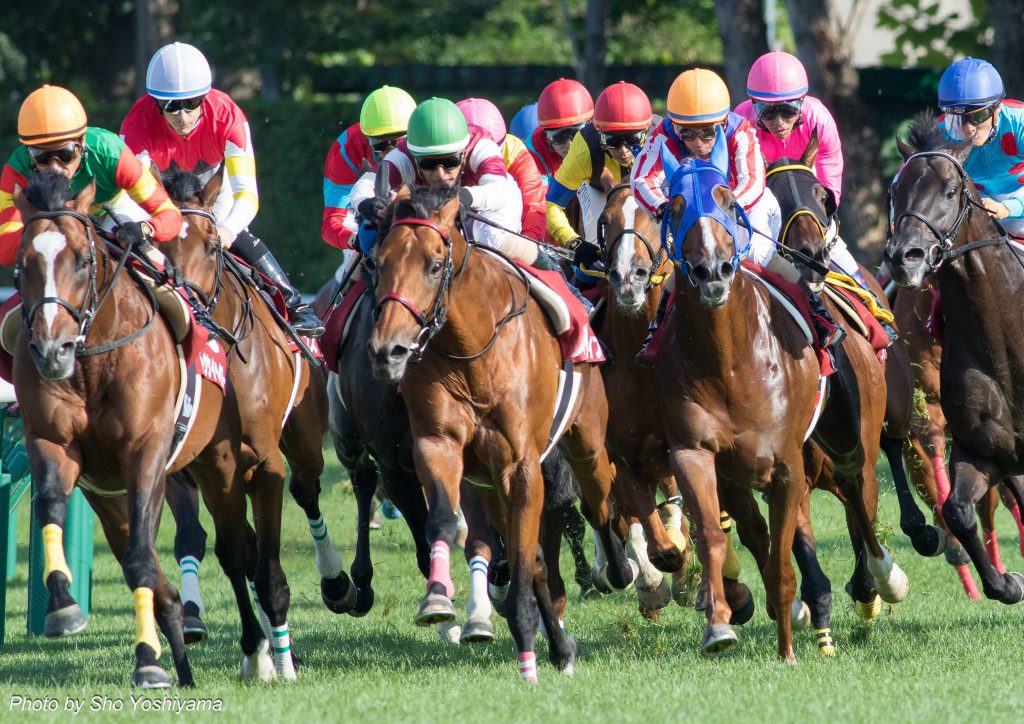 札幌競馬場に1人で行こうと思うんだけど楽しめるかな？