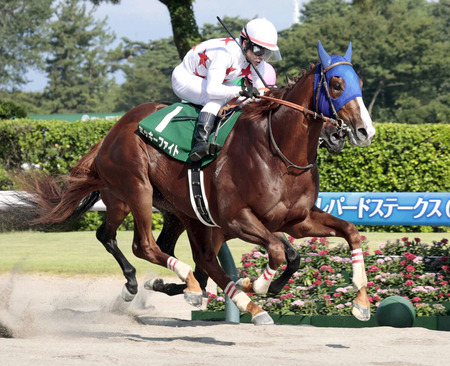 【レパードS】１番人気ミッキーファイト抜け出し快勝！重賞初制覇