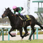 【競馬予想】第60回小倉記念(GⅢ) /2024
