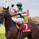 【悲報】種牡馬レイデオロ、終了する