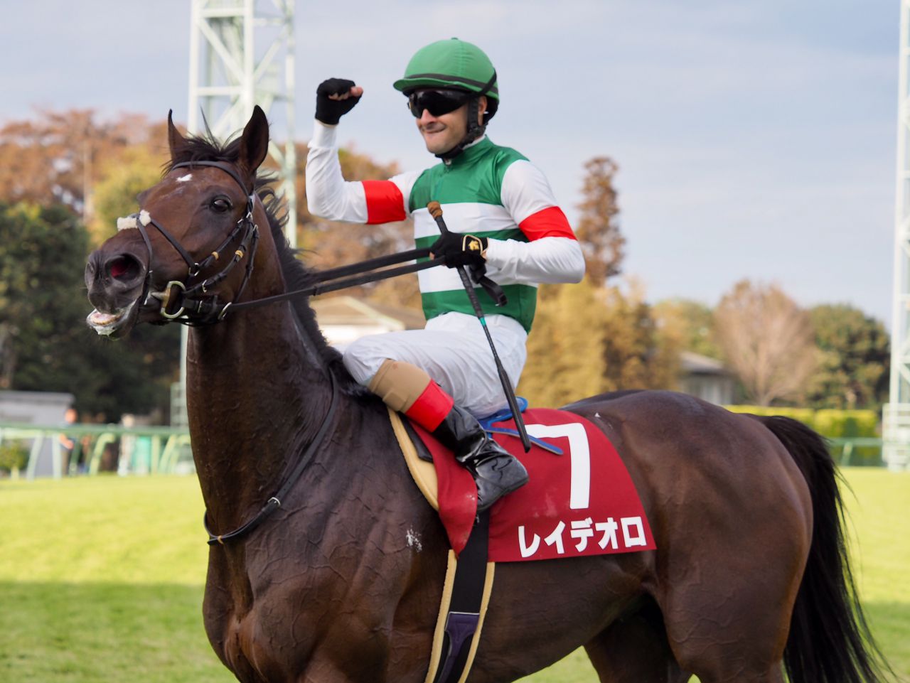 【悲報】種牡馬レイデオロ、終了する