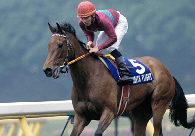 芝、ダート　マイル最強馬　選手権大会