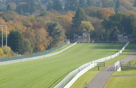 欧州競馬斤量エグくね？？