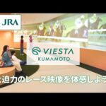 大迫力のレース映像を体感しよう!「VIESTA熊本」(ヴィエスタ熊本) | JRA公式