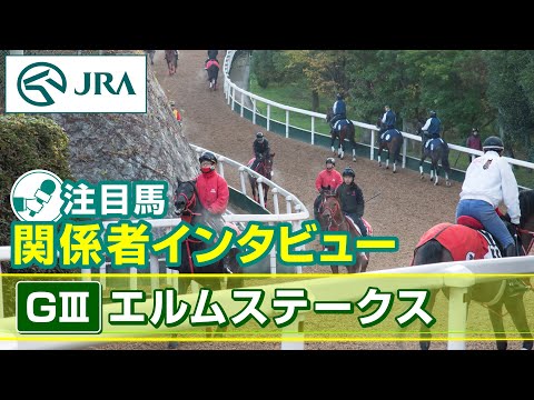 【注目馬 関係者インタビュー】2024年 エルムステークス｜JRA公式