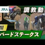 【調教動画】2024年 レパードステークス|JRA公式