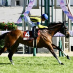 【競馬予想】[3]第60回札幌記念(GⅡ) /2024