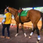 マキシマムセキュリティのサウジC失格確定、ミッドナイトビズーが繰り上がり勝利