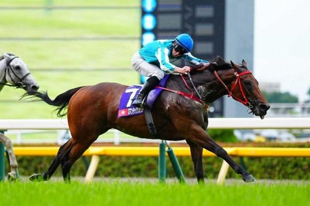 ロマンチックウォリアーに天皇賞秋→マイルCS→香港カップの仰天プランが浮上！？