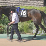 【競馬予想】[2]第59回関屋記念(GⅢ) /2024