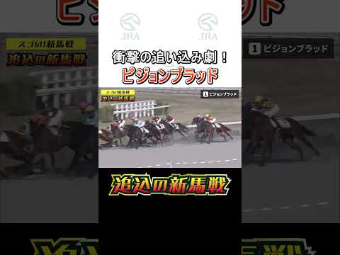 【スゴい！新馬戦】衝撃の追い込み劇「ピジョンブラッド」#追込の新馬戦  #shorts｜ JRA公式