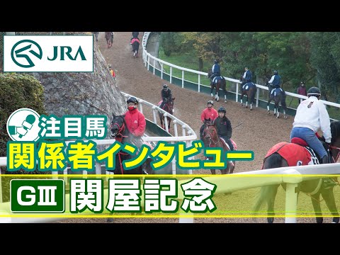 【注目馬 関係者インタビュー】2024年 関屋記念｜JRA公式