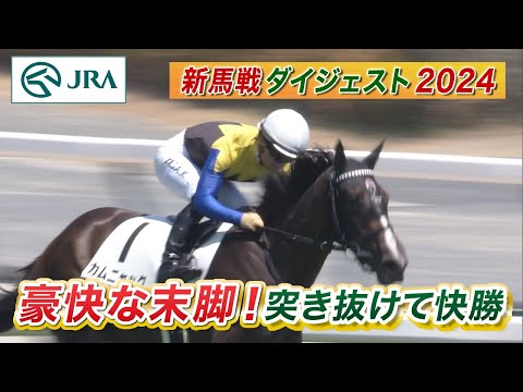 【新馬戦ダイジェスト】カムニャック・マスカレードボール ほか | 8月10日～8月11日（新潟・中京・札幌） | JRA公式