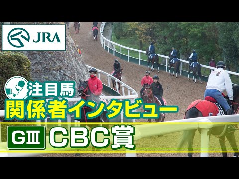 【注目馬 関係者インタビュー】2024年 CBC賞｜JRA公式