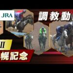 【調教動画】2024年 札幌記念|JRA公式