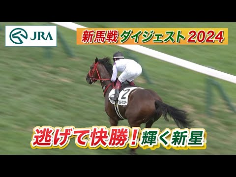 【新馬戦ダイジェスト】メリディアンスター・ショウナンバルドル ほか | 8月17日～8月18日（新潟・中京・札幌） | JRA公式