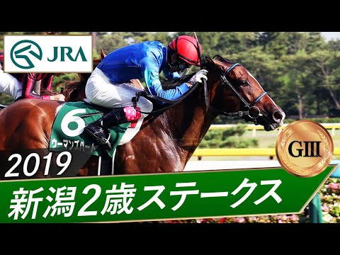 2019年 新潟2歳ステークス（GⅢ） | ウーマンズハート | JRA公式