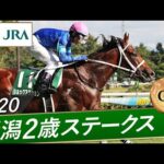 2020年 新潟2歳ステークス(GⅢ) | ショックアクション | JRA公式