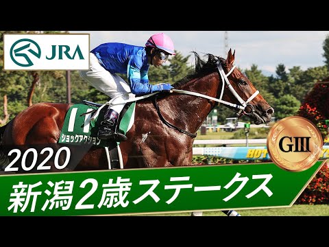 2020年 新潟2歳ステークス（GⅢ） | ショックアクション | JRA公式