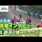 【注目馬 関係者インタビュー】2024年 新潟2歳ステークス|JRA公式