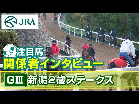 【注目馬 関係者インタビュー】2024年 新潟2歳ステークス｜JRA公式