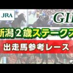 【参考レース】2024年 新潟2歳ステークス|JRA公式