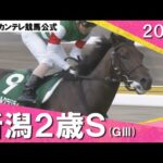 2024年 新潟2歳S(GⅢ) トータルクラリティ【カンテレ公式】