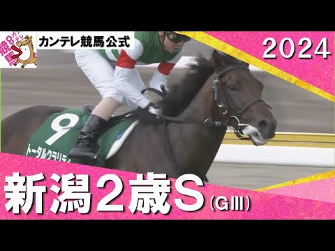 2024年 新潟２歳Ｓ(ＧⅢ)  トータルクラリティ【カンテレ公式】