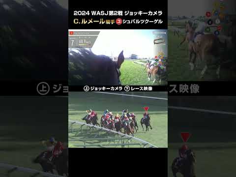 【ジョッキーカメラ×レース映像】2024WASJ第2戦 C.ルメール騎手 シュバルツクーゲル  #shorts ｜JRA公式